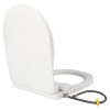 Non-Electric Bidet Toilet Seat Toilet Bidet Lid Fits Elongated Toilets, Dual Nozzle D-shaped with Cleaner Flush Hose